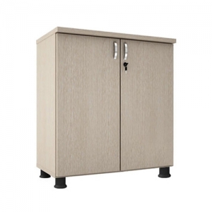 Tủ tài liệu gỗ văn phòng Eco SME6220